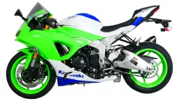 NINJA 500 SE - Racingscheibe "R" 2024-